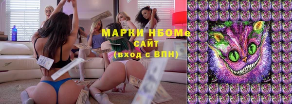 индика Медногорск